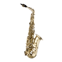 STAGG STAGG P WS-AS215S