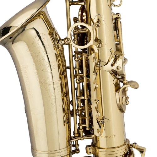 STAGG STAGG P WS-AS215S