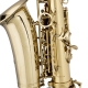 STAGG STAGG P WS-AS215S