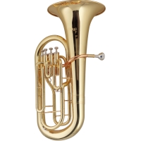 STAGG STAGG P WS-EP245S