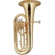 STAGG STAGG P WS-EP245S