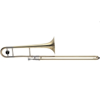 STAGG STAGG P WS-TB245S