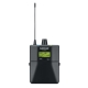SHURE P3RA=-K12