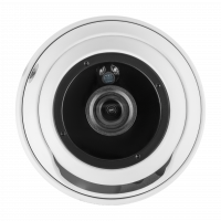Гібридна антивандальна камера GV-180-GHD-H-DOK50-20