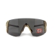 Окуляри захисні Global Vision Astro+RX Camo (gray), сірі в камуфльованій оправі, з діоптрійною вставкою в комплекті
