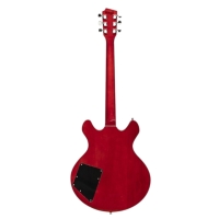 Електрогітара STAGG STAGG N SVY 533 TCH