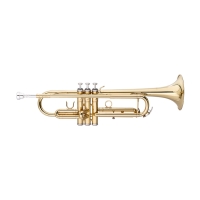 STAGG STAGG P WS-TR115