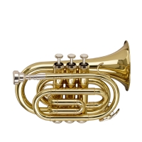 STAGG STAGG P WS-TR245S