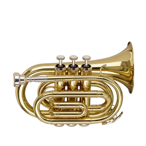 STAGG STAGG P WS-TR245S STAGG STAGG P WS-TR245S