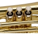 STAGG STAGG P WS-TR245S