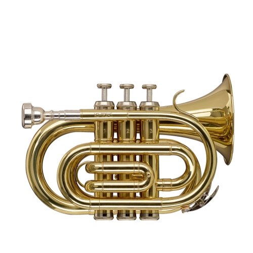 STAGG STAGG P WS-TR245S
