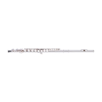 STAGG STAGG P WS-FLL111 STAGG STAGG P WS-FLL111