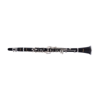 STAGG STAGG P WS-CL210S
