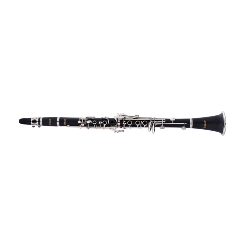 STAGG STAGG P WS-CL210S STAGG STAGG P WS-CL210S