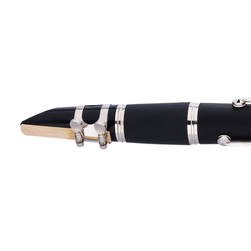 STAGG STAGG P WS-CL210S