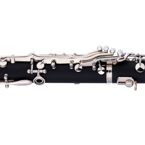 STAGG STAGG P WS-CL210S